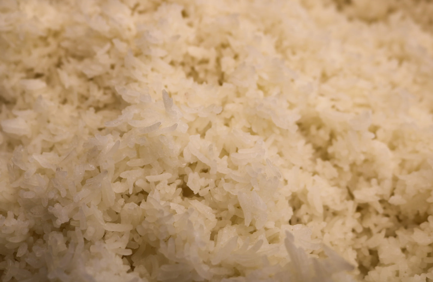 Jasmine Rice
